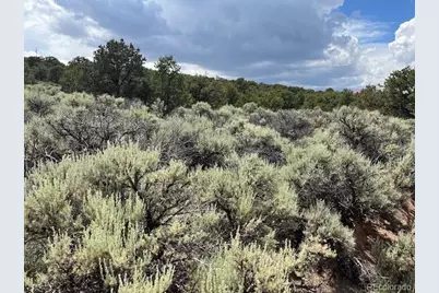 Lot 15 Deer Park Trail, San Luis, CO 81152 - Photo 5