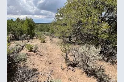 Lot 15 Deer Park Trail, San Luis, CO 81152 - Photo 17