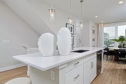 3263 W. Frances Walsh Place, Denver, CO 80236 - Photo 9