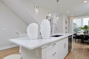 3263 W Frances Walsh Pl, Denver, CO 80236 - Photo 9