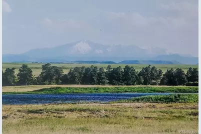 6597 S State Highway 83, Franktown, CO 80116 - Photo 35