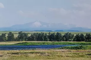 6597 S State Hwy 83, Franktown, CO 80116 - Photo 35