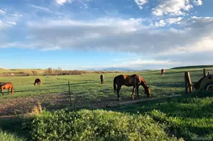 6597 S State Hwy 83, Franktown, CO 80116 - Photo 9