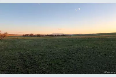 6597 S State Highway 83, Franktown, CO 80116 - Photo 37