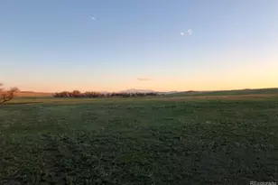 6597 S State Hwy 83, Franktown, CO 80116 - Photo 37