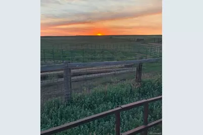 6597 S State Highway 83, Franktown, CO 80116 - Photo 13