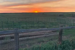 6597 S State Hwy 83, Franktown, CO 80116 - Photo 13