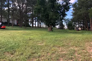 6597 S State Hwy 83, Franktown, CO 80116 - Photo 5