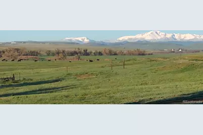 6597 S State Highway 83, Franktown, CO 80116 - Photo 11