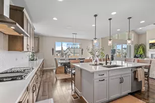 16103 E 109th Ave, Commerce City, CO 80022 - Photo 5