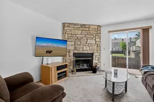 10809 Bayfield Way, Parker, CO 80138 - Photo 9
