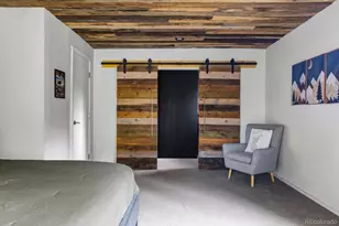 133 Gold Run Rd, Alma, CO 80440 - Photo 19