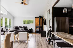 133 Gold Run Rd, Alma, CO 80440 - Photo 3