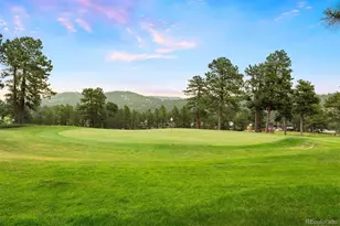 30593 Golf Club Point, Evergreen, CO 80439 - Photo 45