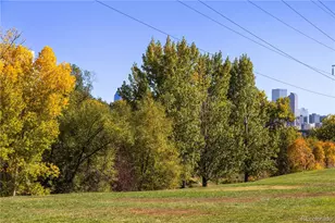 1181 Lowell Ave, Denver, CO 80204 - Photo 29