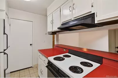 2805 Riverside Drive, Idaho Springs, CO 80452 - Photo 9