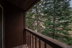 2805 Riverside Dr, Idaho Springs, CO 80452 - Photo 27