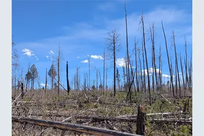 914 Forbes Park Road, Fort Garland, CO 81133 - Photo 7