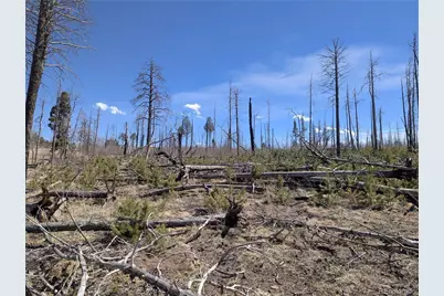 914 Forbes Park Road, Fort Garland, CO 81133 - Photo 5