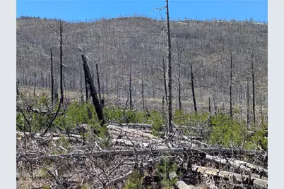 914 Forbes Park Road, Fort Garland, CO 81133 - Photo 3