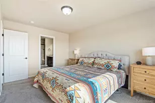 4377 Hessite Loop, Colorado Springs, CO 80938 - Photo 17