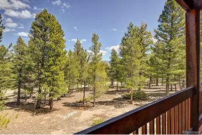 30433 National Forest Drive, Buena Vista, CO 81211 - Photo 23