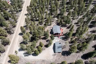 30433 National Forest Dr, Buena Vista, CO 81211 - Photo 49