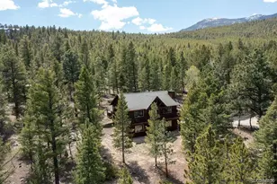 30433 National Forest Dr, Buena Vista, CO 81211 - Photo 1
