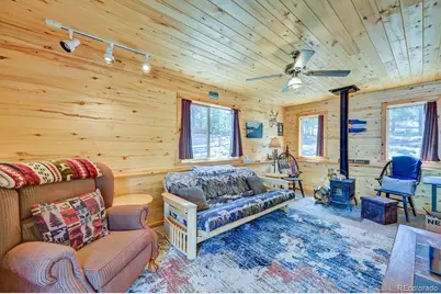 30433 National Forest Drive, Buena Vista, CO 81211 - Photo 3