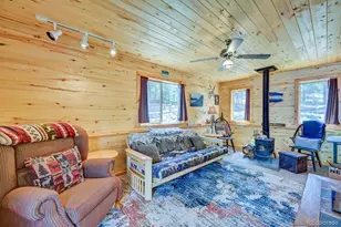 30433 National Forest Dr, Buena Vista, CO 81211 - Photo 3