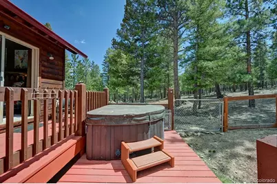 30433 National Forest Drive, Buena Vista, CO 81211 - Photo 31