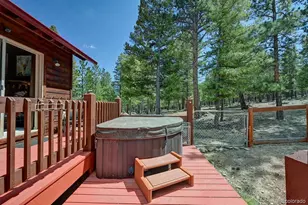 30433 National Forest Dr, Buena Vista, CO 81211 - Photo 31