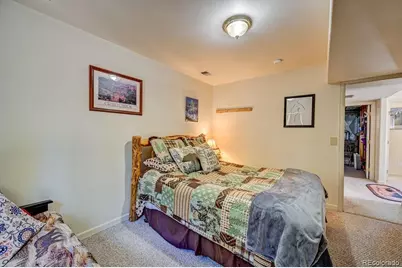 30433 National Forest Drive, Buena Vista, CO 81211 - Photo 43