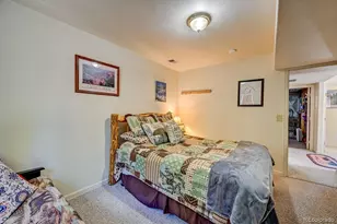30433 National Forest Dr, Buena Vista, CO 81211 - Photo 43