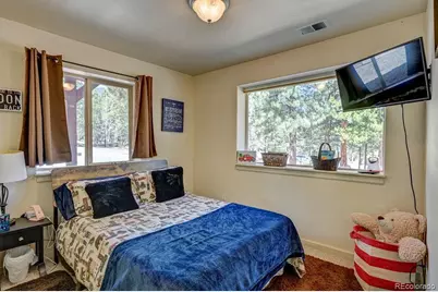 30433 National Forest Drive, Buena Vista, CO 81211 - Photo 39