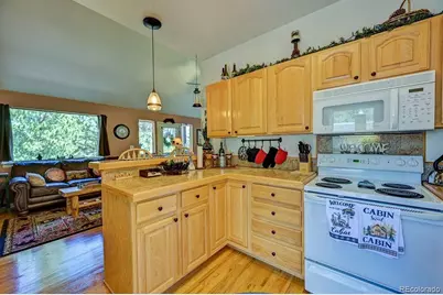 30433 National Forest Drive, Buena Vista, CO 81211 - Photo 9