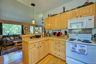 30433 National Forest Dr, Buena Vista, CO 81211 - Photo 9