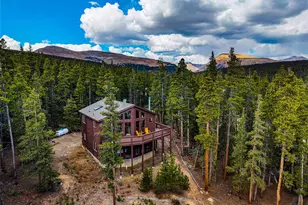 1647 Bobcat Ln, Fairplay, CO 80440 - Photo 3
