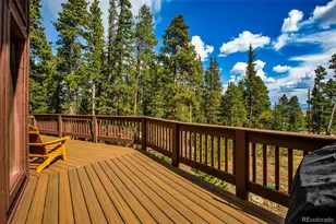 1647 Bobcat Ln, Fairplay, CO 80440 - Photo 41