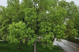 7309 W Hampden Ave, Lakewood, CO 80227 - Photo 27