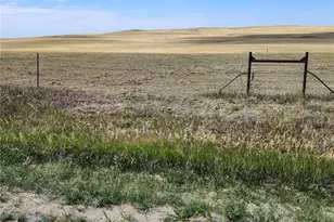 County Road 148, Agate, CO 80101 - Photo 1