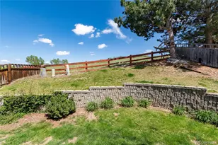 3920 Sunridge Terrace Dr, Castle Rock, CO 80109 - Photo 39