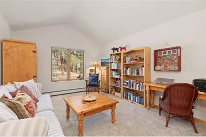 302 Cottonwood Drive, Evergreen, CO 80439 - Photo 29