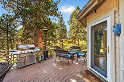 302 Cottonwood Drive, Evergreen, CO 80439 - Photo 15