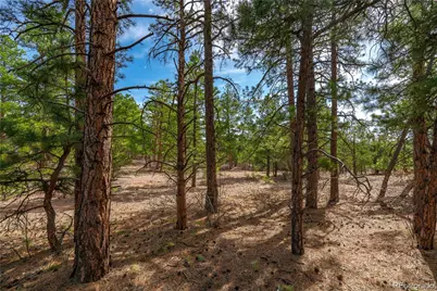 870 Oak Drive, Westcliffe, CO 81252 - Photo 13