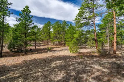 870 Oak Drive, Westcliffe, CO 81252 - Photo 15