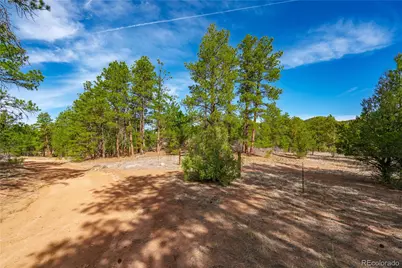 870 Oak Drive, Westcliffe, CO 81252 - Photo 11