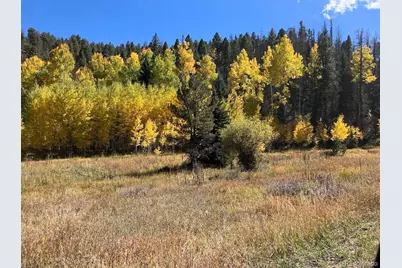 Lot 1 Co Rd 358, Westcliffe, CO 81252 - Photo 7