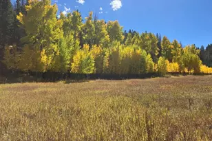 Lot 1 Co Rd 358, Westcliffe, CO 81252 - Photo 1