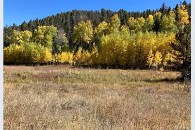 Lot 1 Co Rd 358, Westcliffe, CO 81252 - Photo 3